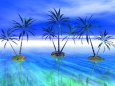 椰子の島