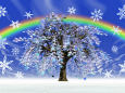 虹と雪の結晶