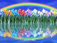 虹と水仙