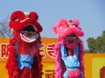 春節祭獅子舞ピンクと赤獅子