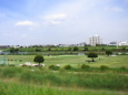 河川敷のゴルフ場