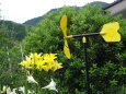 ユリの花と風向き風車