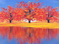 秋の大樹