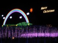 虹と藤とMerry Christmas