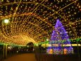 クリスマスツリーと光のトンネル