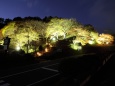 夜の比叡山ドライブウェイ