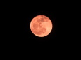 今宵の月は赤く輝いている