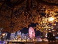 横浜夜桜3