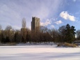 公園の池も凍り 2