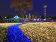 木曽三川公園のクリスマス