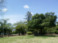 晴天の松本の公園