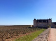 ブルゴーニュのお城とワイン畑