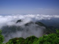 普賢岳の雲海