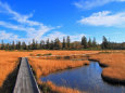 ニセコ神仙沼～鮮やか朝の池塘
