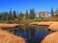 ニセコ神仙沼～朝の池塘