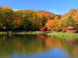 鴨遊ぶ秋色の池