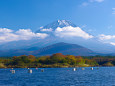 富士山 ～精進湖から～