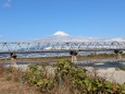 富士山と富士川鉄橋を走る新幹線