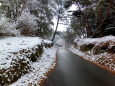 雪の田舎道