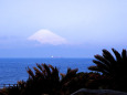 大島から富士山遠望
