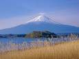 春の富士山・河口湖大石公園から