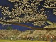 高岡古城公園の夜桜