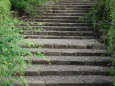 萩の階段
