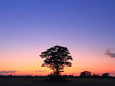 夕彩の一本木～石狩平野