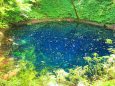 白神山地の神秘の池【青池】