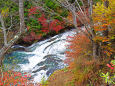 紅葉の竜頭の滝上流