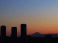 高層ビル群と富士山