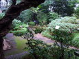 林芙美子記念館の庭