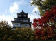掛川城と紅葉