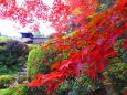 京都詩仙堂の真紅の紅葉
