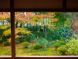 京の秋・大原 宝泉院の紅葉