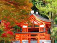 須磨寺の人気参拝所出世稲荷