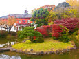 小石川植物園の秋