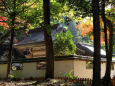 京都の紅葉・鷺森神社・#2