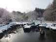 初冬の小さな日本庭園