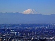 新宿から眺める富士