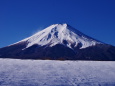 雪原からの富士山