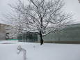 大雪の日の21世紀美術館