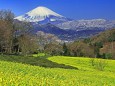 富士見塚ハイキングコース