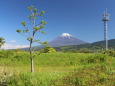 自然公園から望む富士山