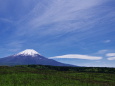 五月晴れの富士山
