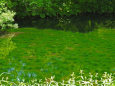 緑の池-瀞川平