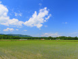 初夏の雲と水田～石狩平野
