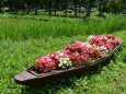お花のボート