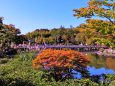 昭和記念公園の秋