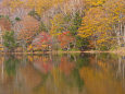 奥日光 湯の湖の紅葉